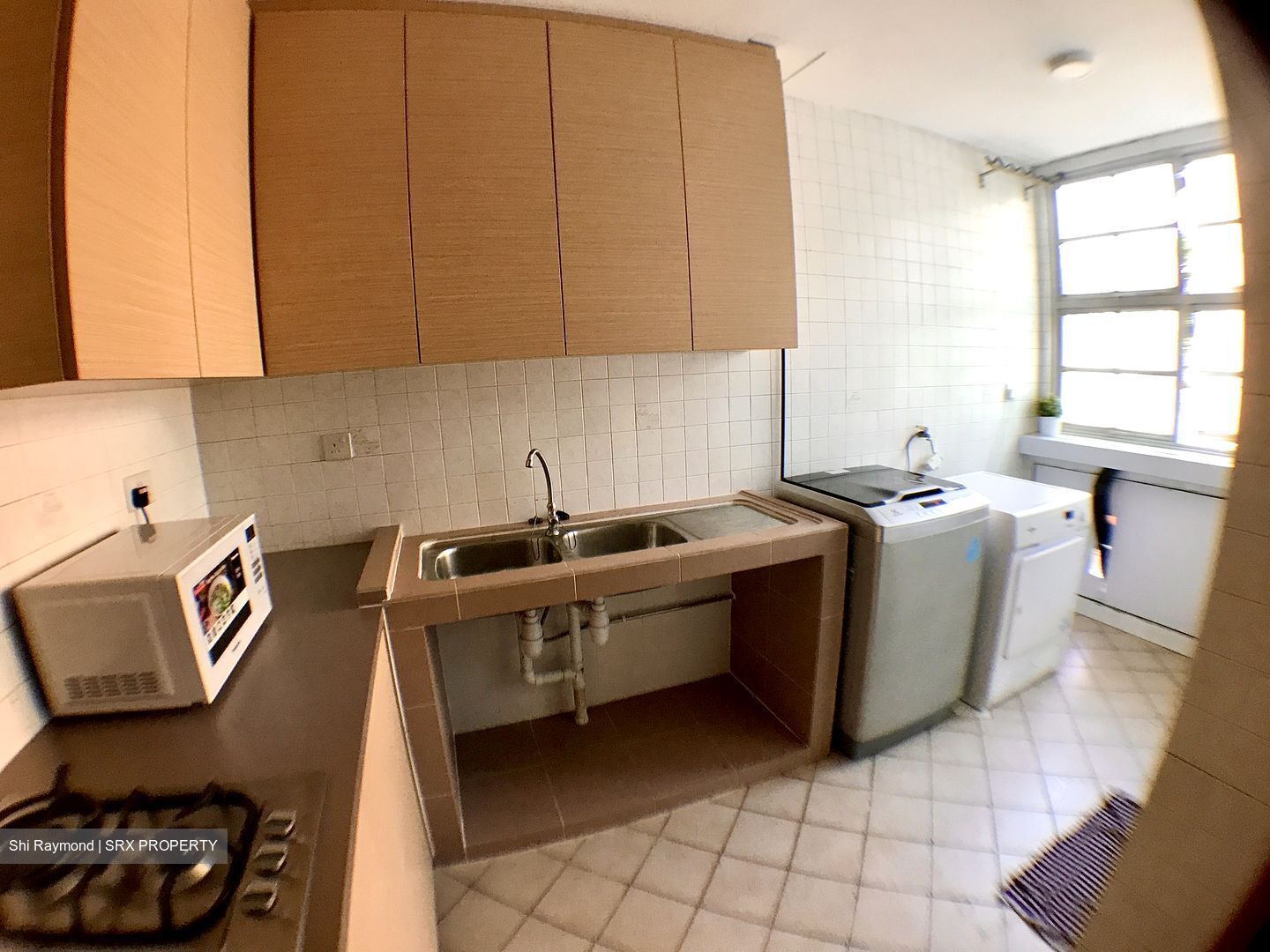 Lorong 3 Geylang (D14), Condominium #363986221